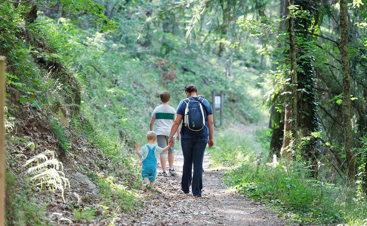 Photo Le Bois de la Chèze