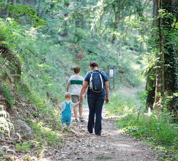 Le Bois de la Chèze