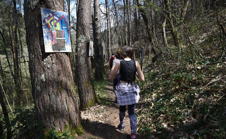Photo Le Bois de la Chèze