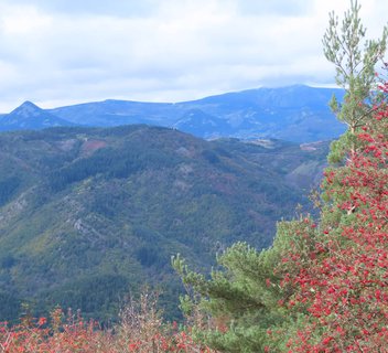 Sentier thématique du Talaron (De Pont de Chervil au Col des Fourches)