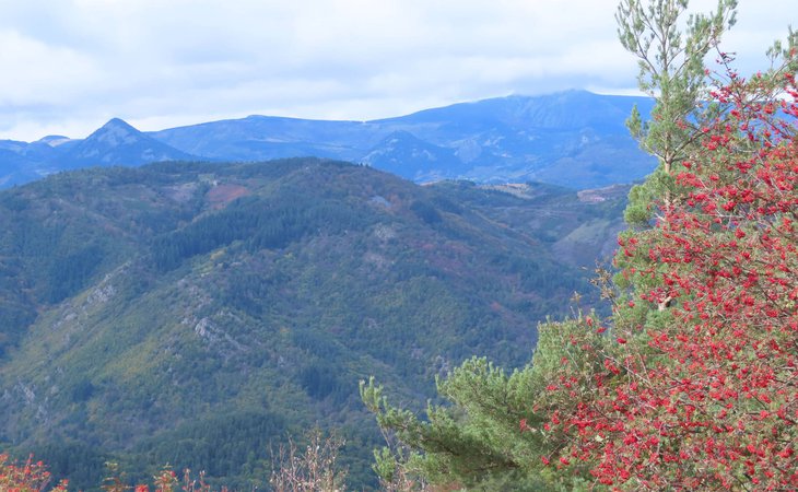 Photo Sentier thématique du Talaron (De Pont de Chervil au Col des Fourches)