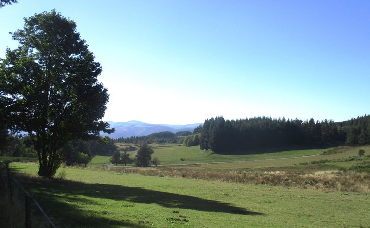 Photo Trail de l'Aygueneyre