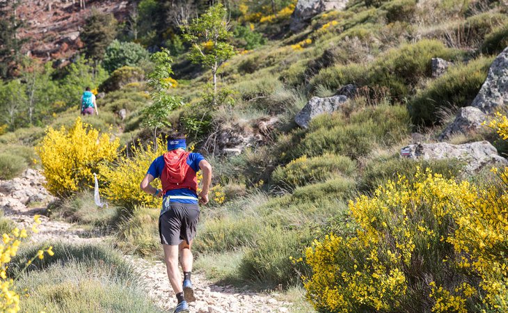 Photo Trail de l'Aygueneyre