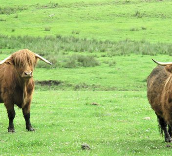 Circuit de Beauvert - N°25