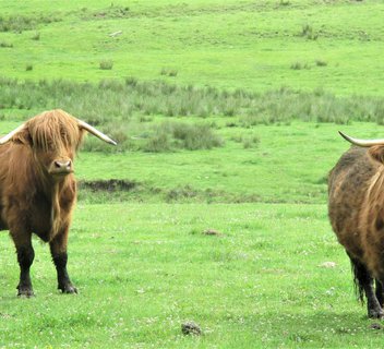 Circuit de Beauvert - N°25