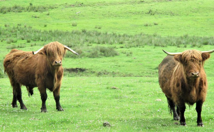 Photo Circuit de Beauvert - N°25