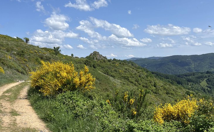 Photo Le Trail des Saint-Martinois