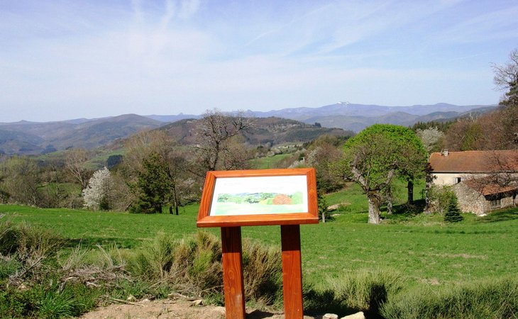 Photo Un Pays et ses Arbres - N°9