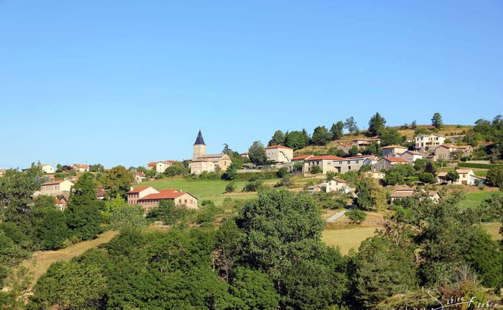 Photo Un Pays et ses Arbres - N°9