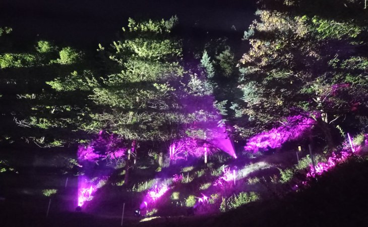 Photo Sound and light show at the Arboretum