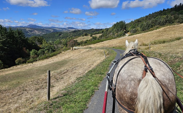 Photo Balade en calèche