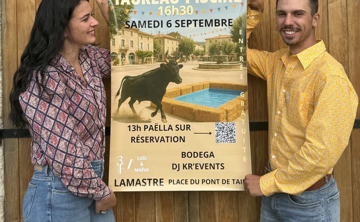 Photo Taureau-piscine