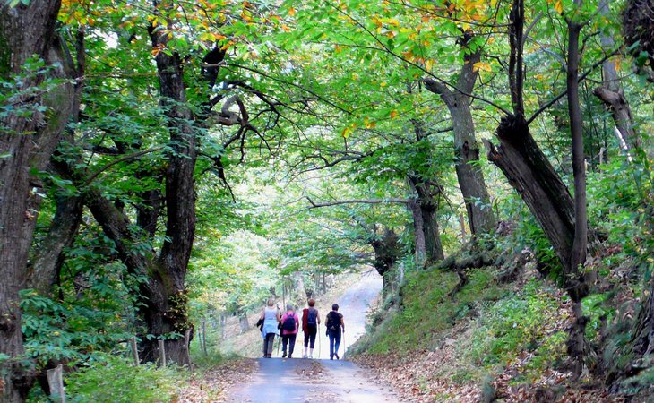 Photo Beauvène - La basse Vallée du Talaron