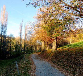 Saint-Sauveur-de-Montagut - Tour de l'Orsanne
