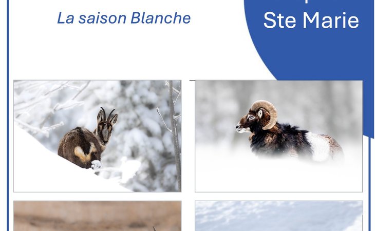 Photo Privas Photo Festival - "La saison blanche" de Laurent Macquet