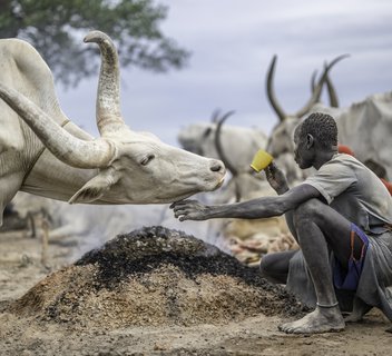 Photo Festival Images et Paroles d'Afrique - Exposition "Passerelles avec l'Afrique"