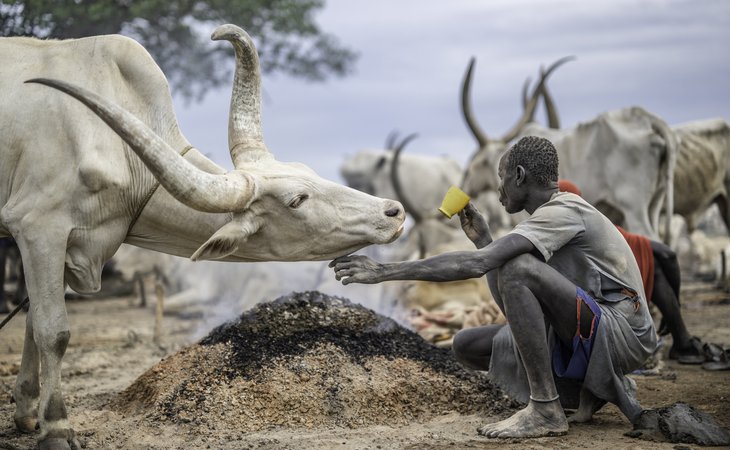 Photo Festival Images et Paroles d'Afrique - Exposition "Passerelles avec l'Afrique"