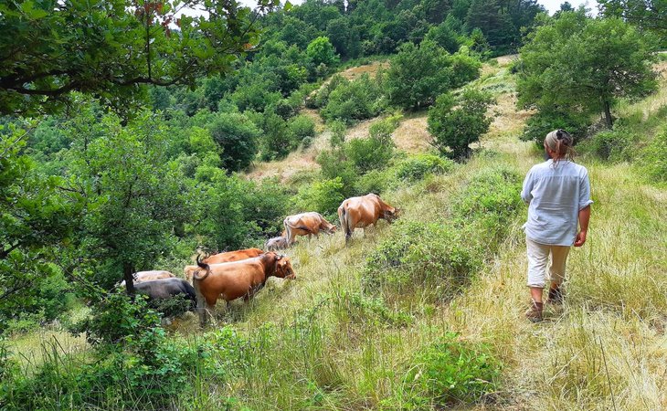 Photo GAEC Ferme des Cormiers