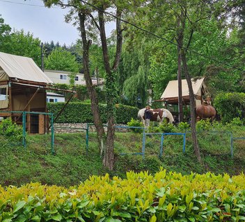 Camping La Douce Ardèche  - Le Bivouac
