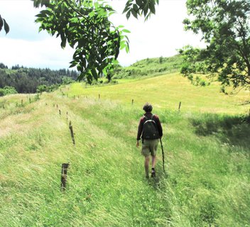 Circuit le Champêtre - VTT FFC N°22 Bleu