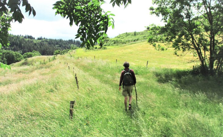 Photo Circuit le Champêtre - VTT FFC N°22 Bleu