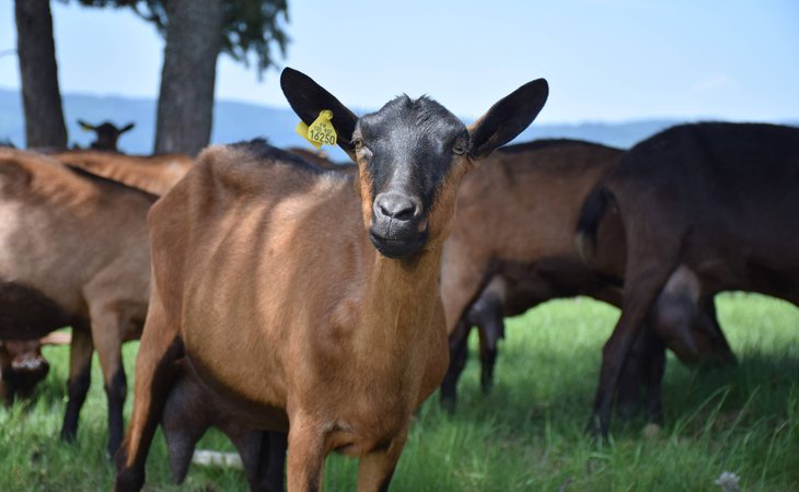 Photo Circuit panoramique