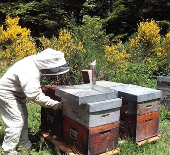 Chanteclair honey factory