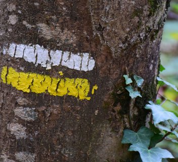 Le Col de Montreynaud