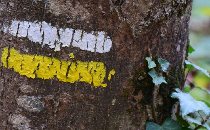 Photo Le Col de Montreynaud