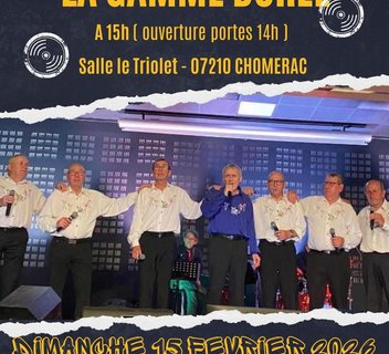 Photo Concert avec "La Gamme Dorée" (chanson française)