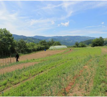 La ferme des Auches