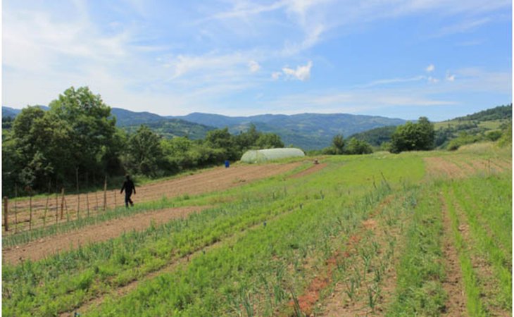 Photo La ferme des Auches