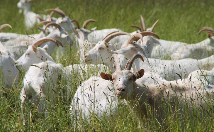 Photo Ferme du Chant du Riou