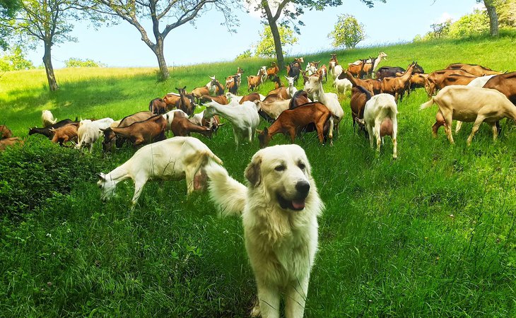 Photo GAEC de la Ferme de Presles