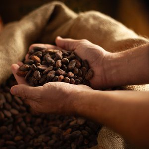Atelier Chocolat en Terre d’Ardèche - Songes et Cacao
