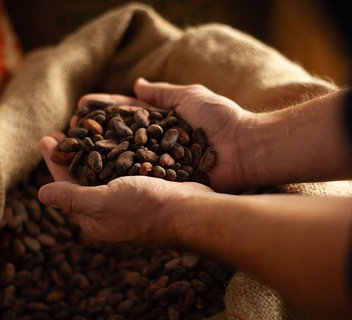 Photo Atelier Chocolat en Terre d’Ardèche - Songes et Cacao