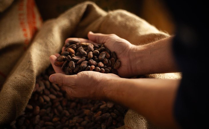 Photo Atelier Chocolat en Terre d’Ardèche - Songes et Cacao