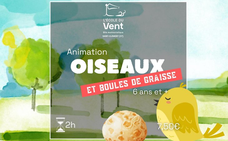 Photo Oiseaux et boules de graisse