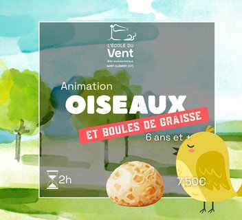 Photo Oiseaux et boules de graisse