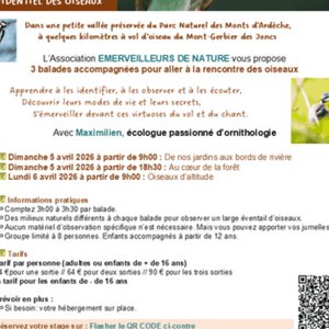 À la rencontre du monde confidentiel des oiseaux