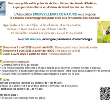 Photo À la rencontre du monde confidentiel des oiseaux