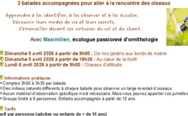 Photo À la rencontre du monde confidentiel des oiseaux