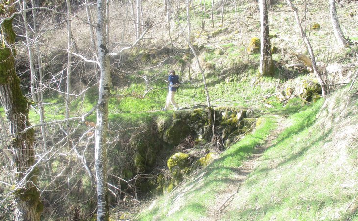 Photo Les Mélerines - N°23