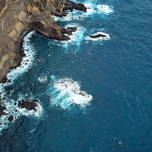 Conférence : L'océan, régulateur du climat, foyer de biodiversité