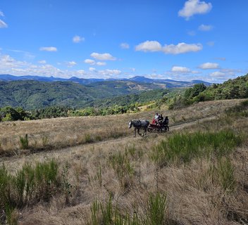 Photo Balade en calèche
