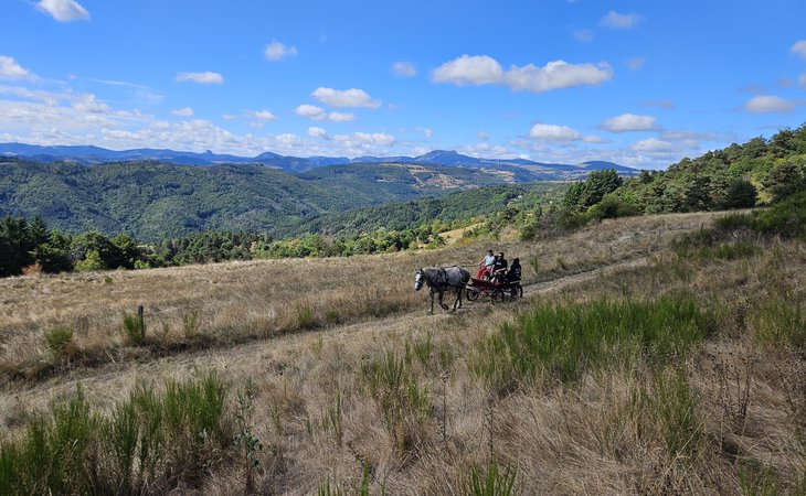 Photo Balade en calèche