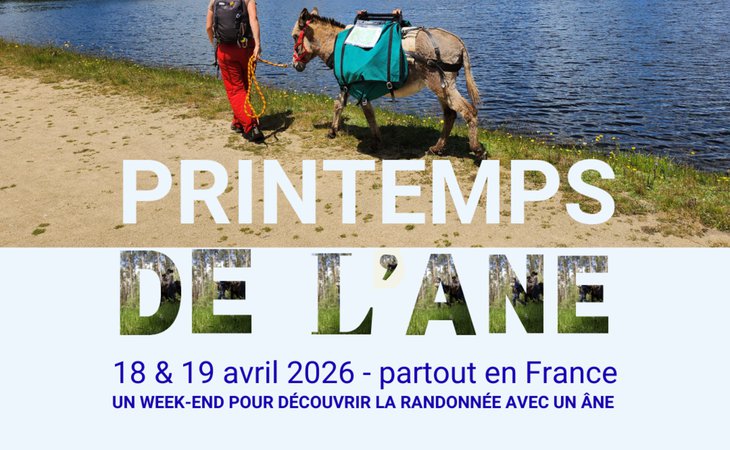Photo Printemps de l'âne