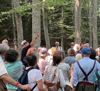 Photo Lectures sous l'arbre