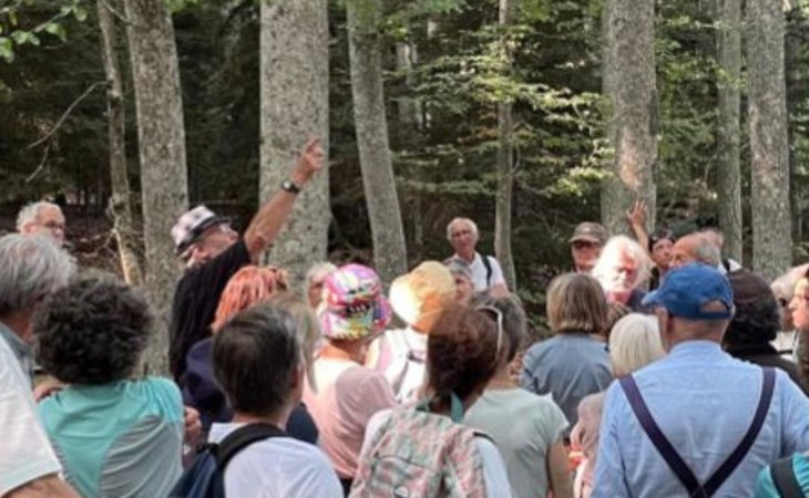 Photo Lectures sous l'arbre