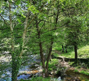 Photo Exposition "Le chemin des peintres"